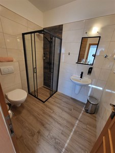 Moderní koupelna s umyvadlem a WC